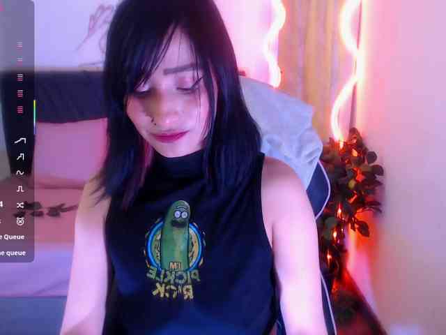 Palmerfox-tay webcam