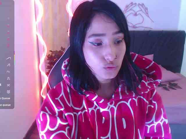 Palmerfox-tay webcam
