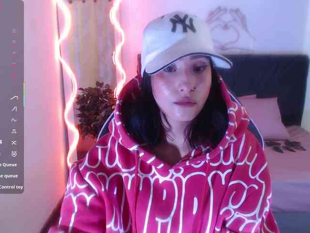 Palmerfox-tay webcam