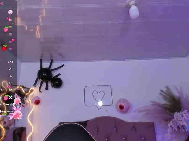 Palmerfox-tay webcam
