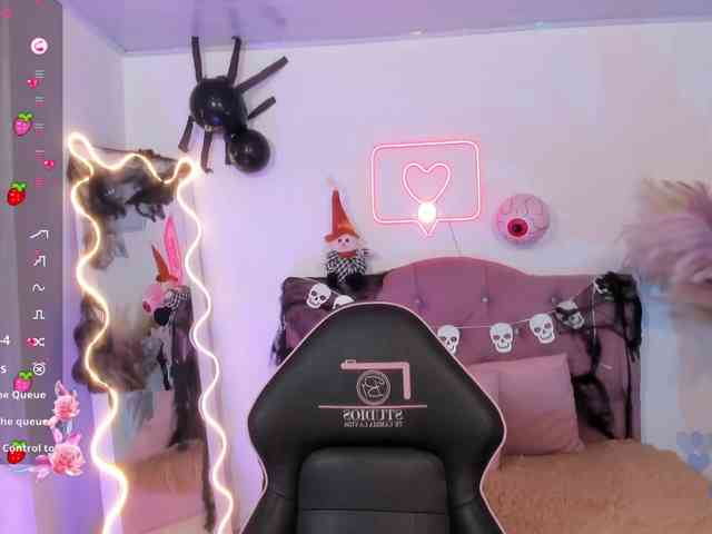 Palmerfox-tay webcam