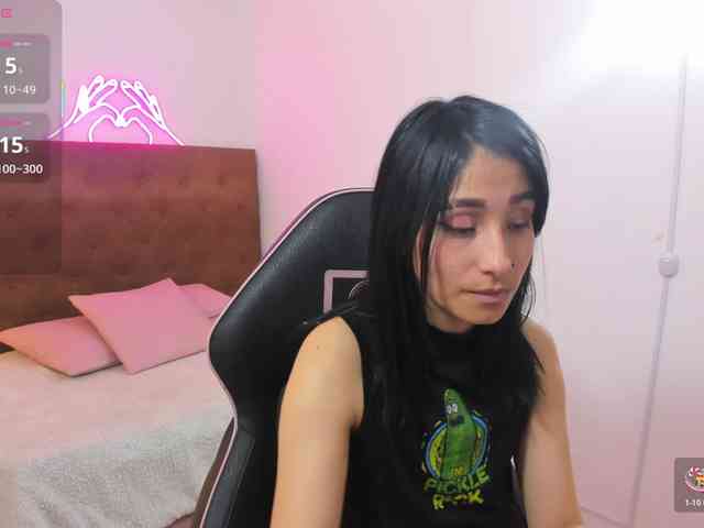 Palmerfox-tay webcam