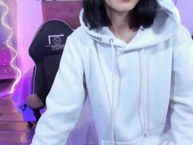 Palmerfox-tay webcam