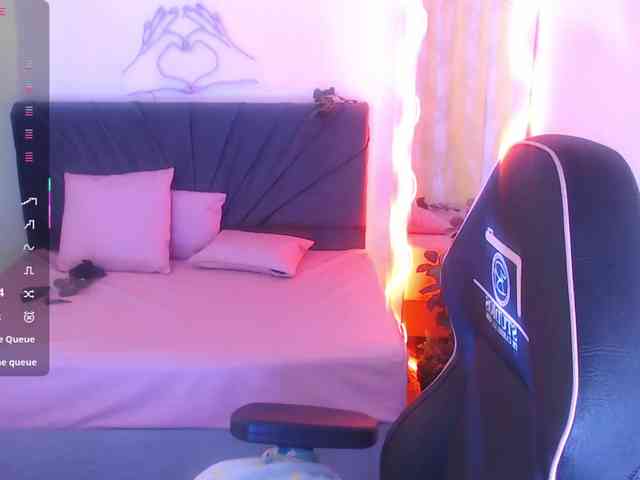 Palmerfox-tay webcam
