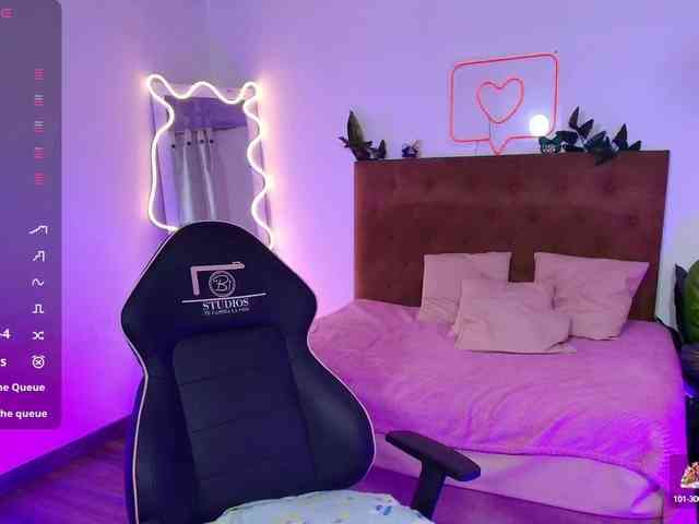 Palmerfox-tay webcam