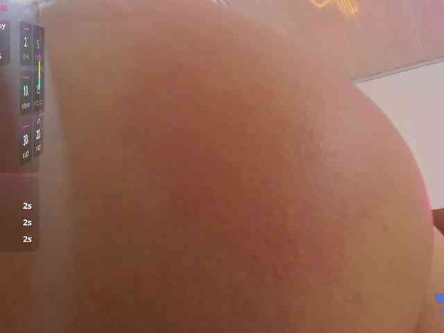 Palmerfox-tay webcam