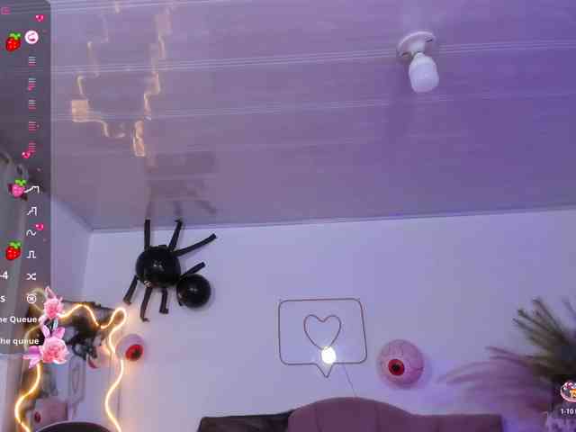Palmerfox-tay webcam