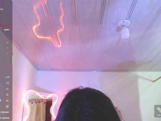 Palmerfox-tay webcam