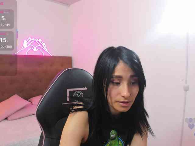 Palmerfox-tay webcam