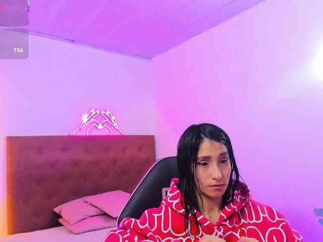 Palmerfox-tay webcam