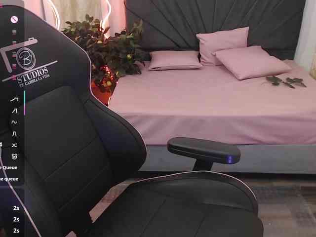 Palmerfox-tay webcam