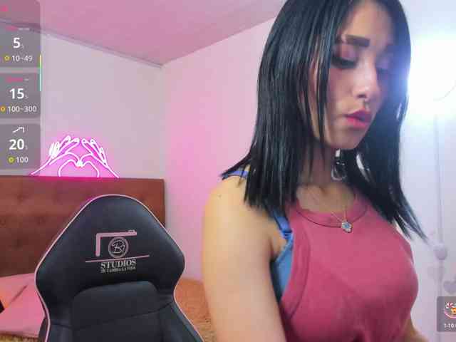 Palmerfox-tay webcam