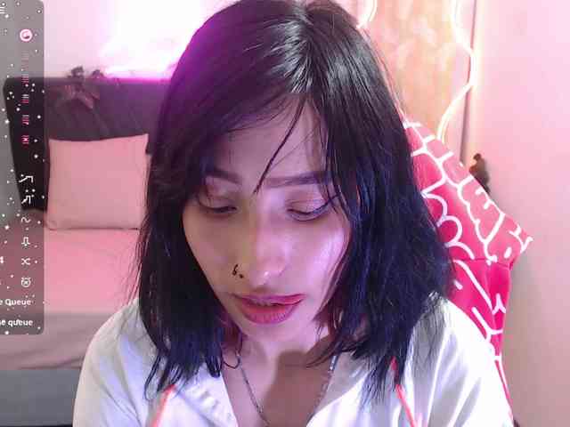 Palmerfox-tay webcam