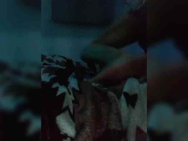 SofiTransMX Live Webcam on BongaCams