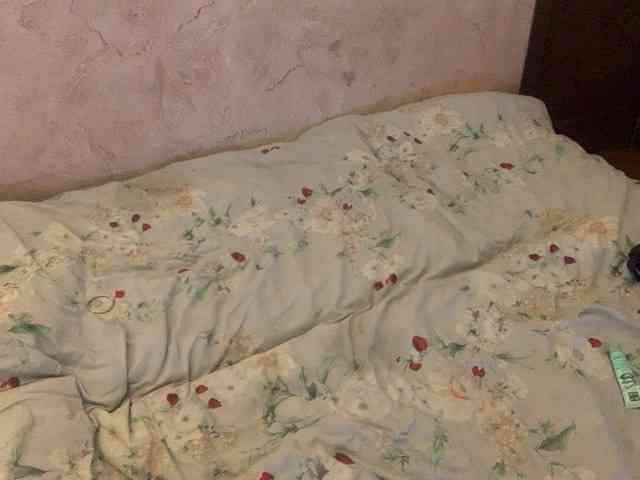 Marina-Kitagawa webcam