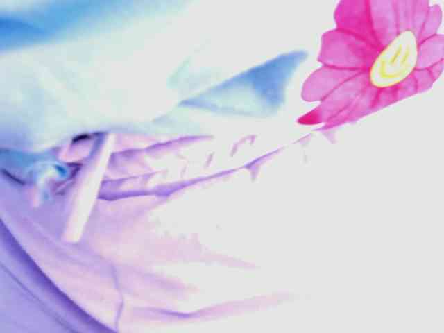 Nicolle-mariee webcam
