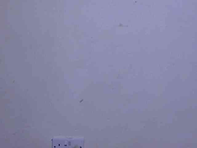 Cute-adiyaa webcam