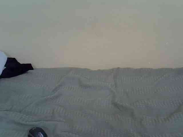 Slimkittey webcam