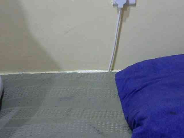 Slimkittey webcam