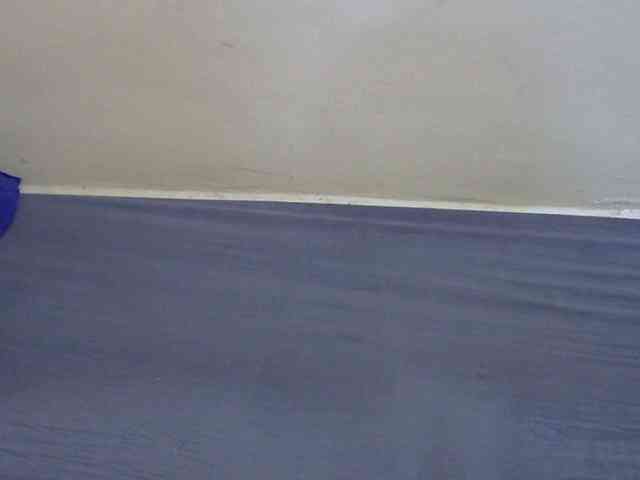 Slimkittey webcam