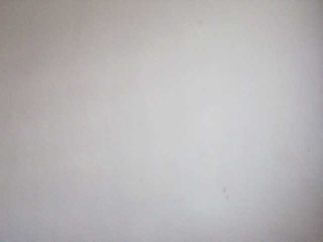 MlleKali's BongaCams show and profile