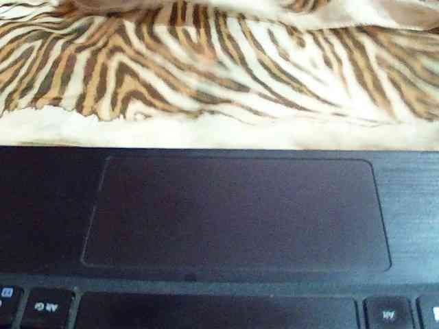MlleKali webcam