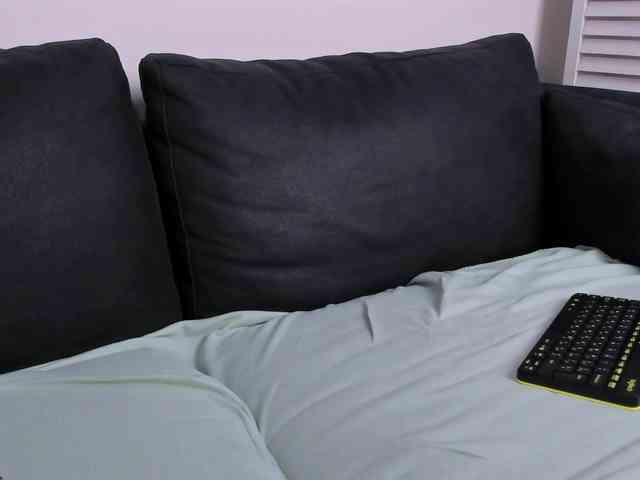 Rin-Skylar webcam