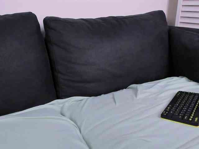 Rin-Skylar webcam