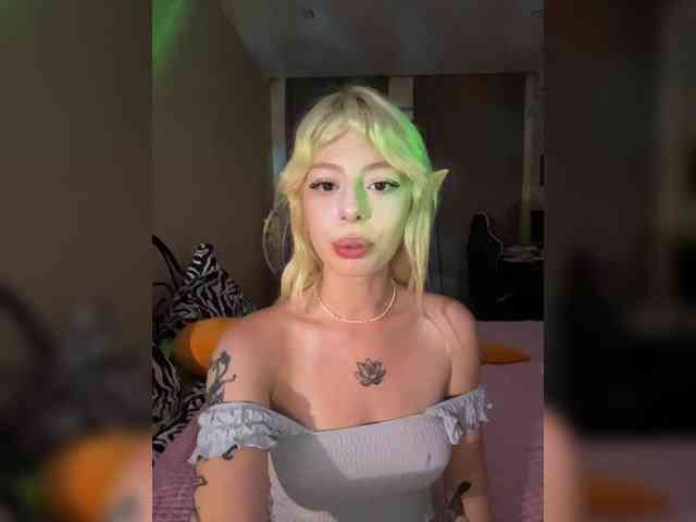 sunEva webcam
