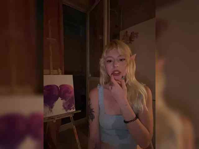 sunEva webcam