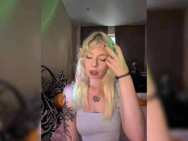 sunEva webcam