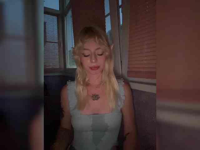 sunEva webcam