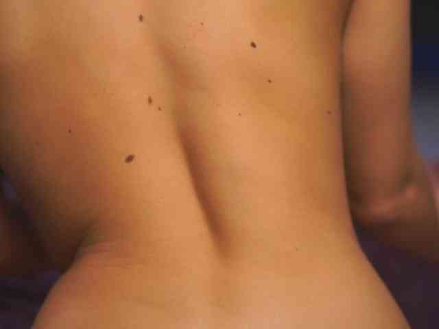 MeghanHazel MeghanHazel