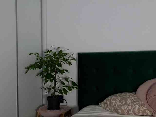 KimArts webcam