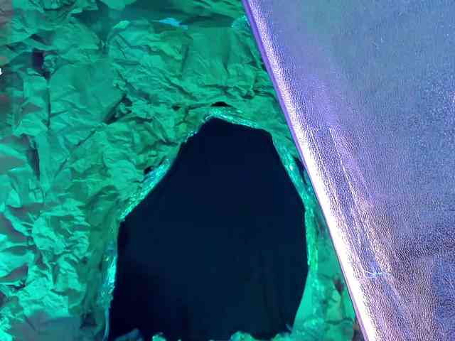 ElizabethBennet webcam