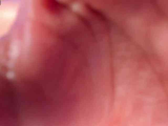 ElizabethBennet webcam