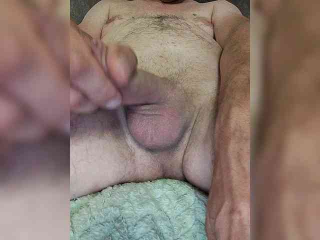 Donkes