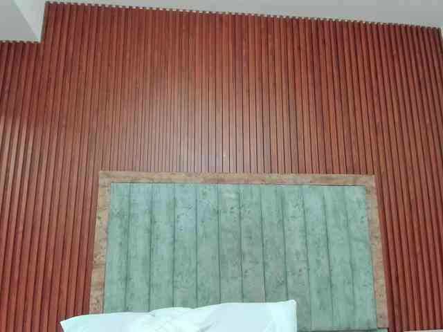 Isabelle-Riddle webcam
