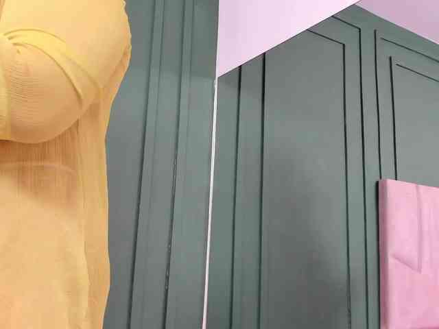 Isabelle-Riddle webcam