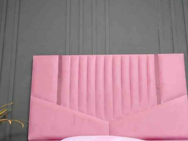 Isabelle-Riddle webcam