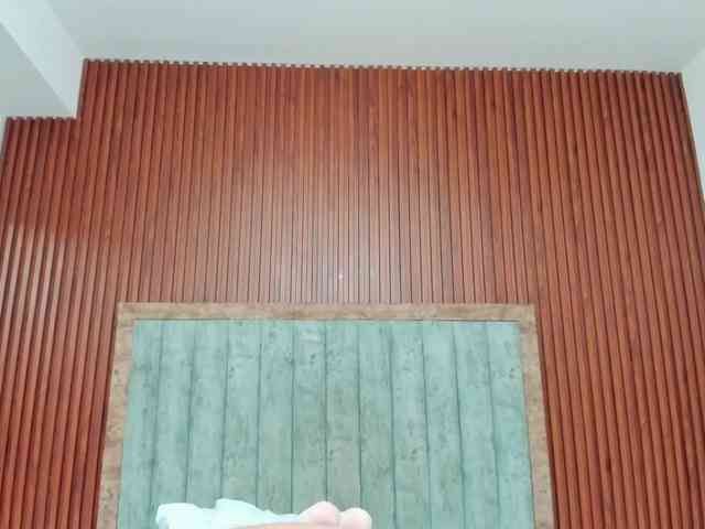 Isabelle-Riddle webcam