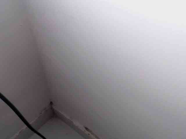 Michellee-20 webcam
