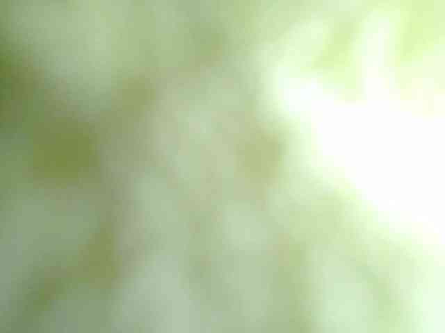 LinaSaar webcam