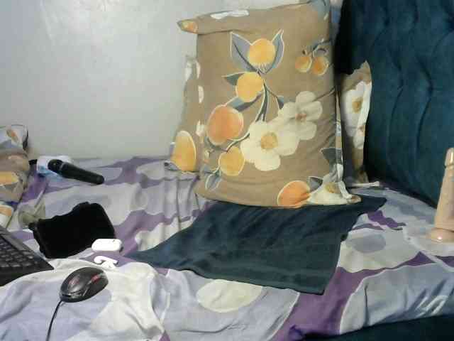 Quinbeib webcam