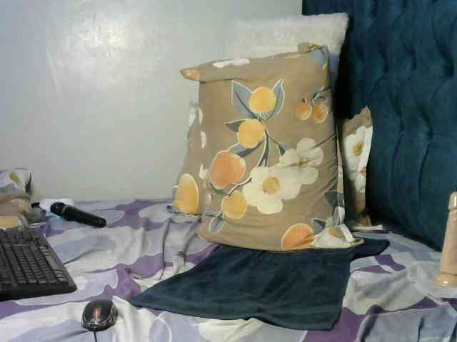 Quinbeib webcam