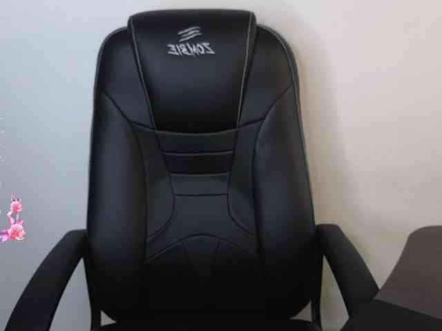 SonyaLess webcam
