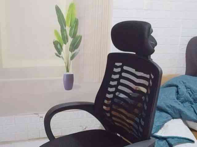 Queendy webcam