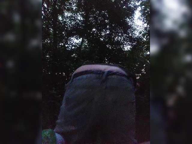 TreasureDi