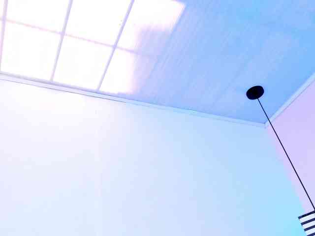 violetsmith webcam