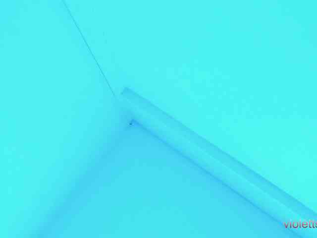 violetsmith webcam